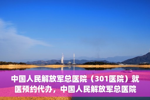 中国人民解放军总医院（301医院）就医预约代办，中国人民解放军总医院（301医院）就医预约代办服务详解