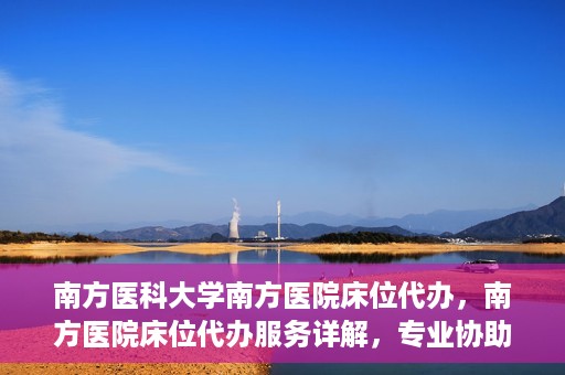 南方医科大学南方医院床位代办，南方医院床位代办服务详解，专业协助，解决床位难题