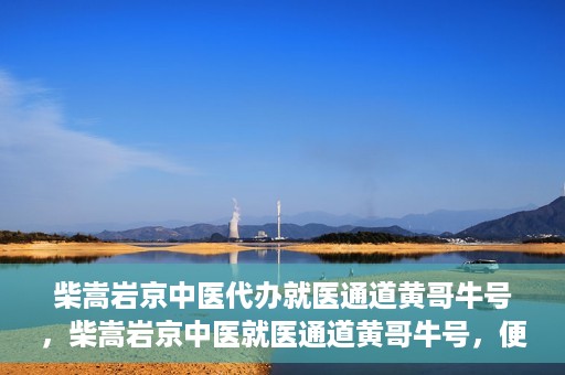 柴嵩岩京中医代办就医通道黄哥牛号，柴嵩岩京中医就医通道黄哥牛号，便捷就医新选择