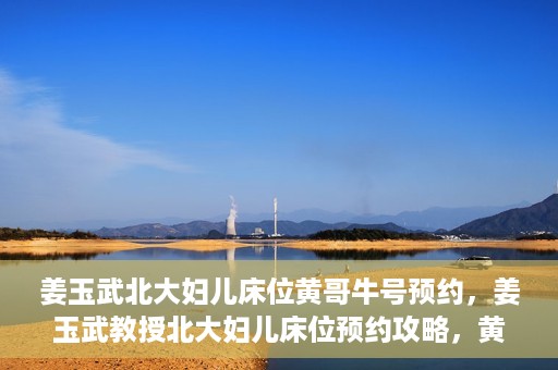 姜玉武北大妇儿床位黄哥牛号预约，姜玉武教授北大妇儿床位预约攻略，黄哥牛号助你轻松挂号