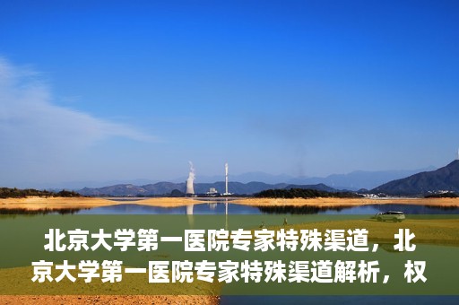 北京大学第一医院专家特殊渠道，北京大学第一医院专家特殊渠道解析，权威医疗资源的独特路径探索