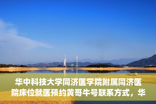 华中科技大学同济医学院附属同济医院床位就医预约黄哥牛号联系方式，华中科技大学同济医院床位预约联系方式及黄哥牛号揭秘