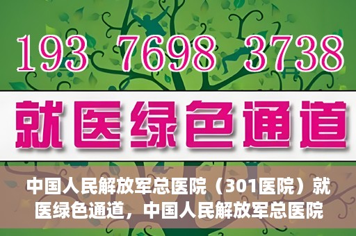 中国人民解放军总医院（301医院）就医绿色通道，中国人民解放军总医院就医绿色通道，高效便捷的医疗服务体验