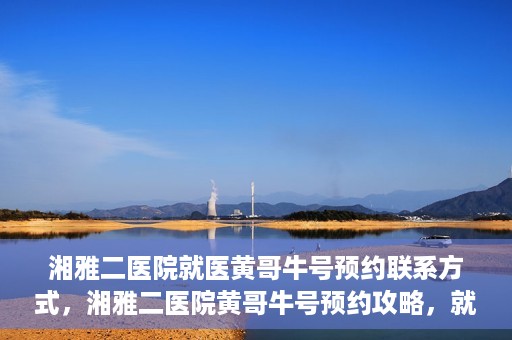 湘雅二医院就医黄哥牛号预约联系方式，湘雅二医院黄哥牛号预约攻略，就医联系方式全解析