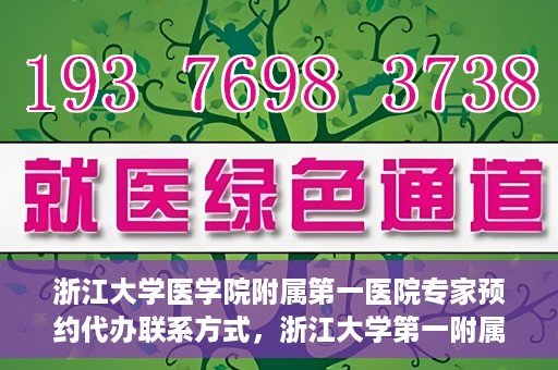 浙江大学医学院附属第一医院专家预约代办联系方式，浙江大学第一附属医院专家预约代办服务指南，快速便捷联系方式揭秘