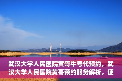 武汉大学人民医院黄哥牛号代预约，武汉大学人民医院黄哥预约服务解析，便捷医疗，牛号代预约新体验