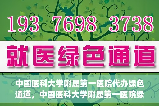 中国医科大学附属第一医院代办绿色通道，中国医科大学附属第一医院绿色通道代办服务详解