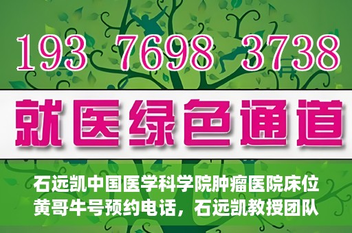 石远凯中国医学科学院肿瘤医院床位黄哥牛号预约电话，石远凯教授团队预约电话及中国医学科学院肿瘤医院床位预约攻略