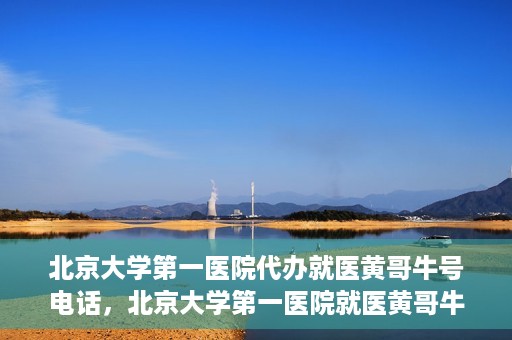 北京大学第一医院代办就医黄哥牛号电话，北京大学第一医院就医黄哥牛号代办服务电话揭秘