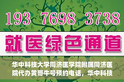 华中科技大学同济医学院附属同济医院代办黄哥牛号预约电话，华中科技大学同济医院黄哥牛号预约电话及代办服务解析