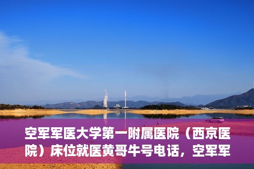 空军军医大学第一附属医院（西京医院）床位就医黄哥牛号电话，空军军医大学第一附属医院（西京医院）床位就医咨询黄哥牛号电话揭秘