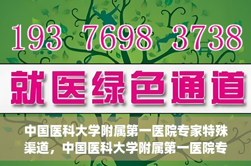 中国医科大学附属第一医院专家特殊渠道，中国医科大学附属第一医院专家特殊渠道揭秘，权威医疗资源的背后故事