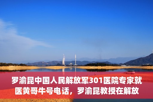 罗渝昆中国人民解放军301医院专家就医黄哥牛号电话，罗渝昆教授在解放军301医院的专业医疗与黄哥牛号电话揭秘