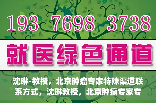 沈琳-教授，北京肿瘤专家特殊渠道联系方式，沈琳教授，北京肿瘤专家专属联系方式揭秘