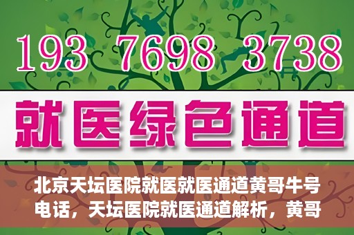 北京天坛医院就医就医通道黄哥牛号电话，天坛医院就医通道解析，黄哥牛号电话背后的就医故事