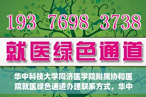 华中科技大学同济医学院附属协和医院就医绿色通道办理联系方式，华中科技大学同济医学院附属协和医院就医绿色通道联系指南