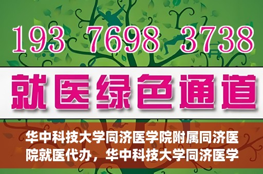 华中科技大学同济医学院附属同济医院就医代办，华中科技大学同济医学院附属同济医院就医代办服务详解