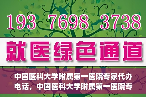中国医科大学附属第一医院专家代办电话，中国医科大学附属第一医院专家电话代办服务详解