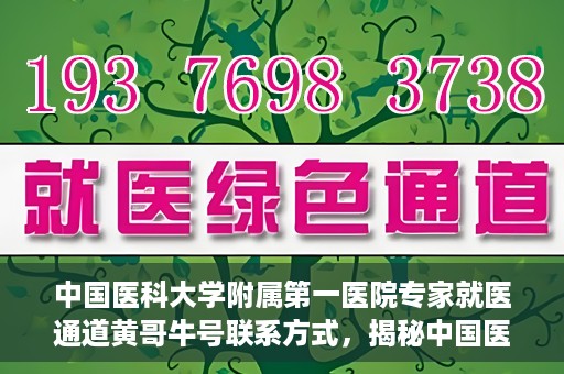 中国医科大学附属第一医院专家就医通道黄哥牛号联系方式，揭秘中国医科大学附属第一医院专家就医通道，黄哥牛号联系方式全解析