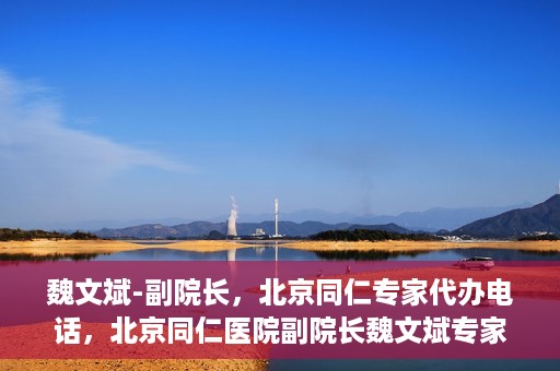 魏文斌-副院长，北京同仁专家代办电话，北京同仁医院副院长魏文斌专家电话代办服务