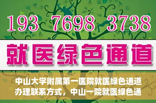 中山大学附属第一医院就医绿色通道办理联系方式，中山一院就医绿色通道办理指南，快速获取联系方式与流程解析