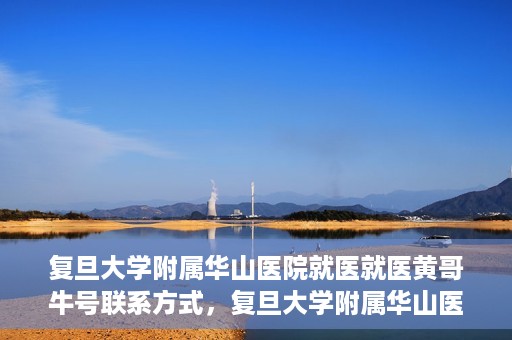 复旦大学附属华山医院就医就医黄哥牛号联系方式，复旦大学附属华山医院就医指南，黄哥牛号联系方式揭秘