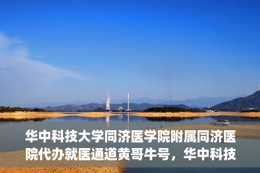 华中科技大学同济医学院附属同济医院代办就医通道黄哥牛号，华中科技大学同济医院就医通道代办服务，黄哥牛号助您轻松就医