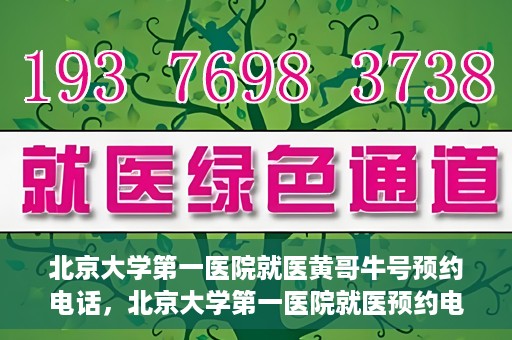 北京大学第一医院就医黄哥牛号预约电话，北京大学第一医院就医预约电话及黄哥牛号预约指南