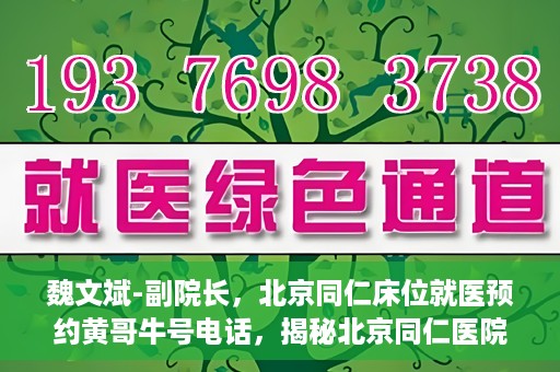 魏文斌-副院长，北京同仁床位就医预约黄哥牛号电话，揭秘北京同仁医院预约背后的故事，副院长魏文斌与床位预约黄哥牛号电话解读