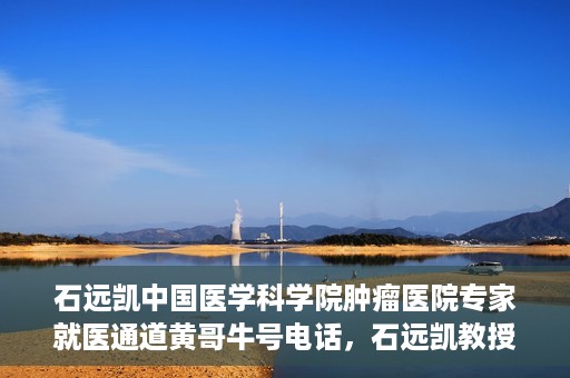 石远凯中国医学科学院肿瘤医院专家就医通道黄哥牛号电话，石远凯教授，中国医学科学院肿瘤医院专家就医绿色通道与权威解读牛号电话。