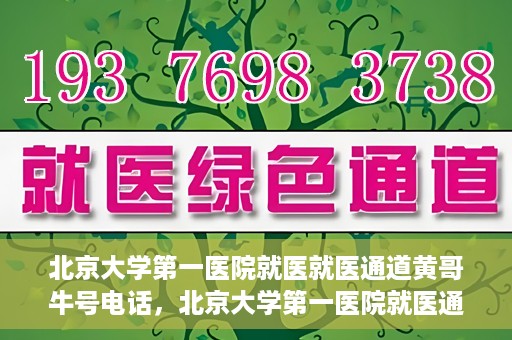 北京大学第一医院就医就医通道黄哥牛号电话，北京大学第一医院就医通道解析，黄哥牛号电话全解读