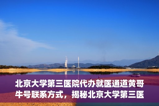 北京大学第三医院代办就医通道黄哥牛号联系方式，揭秘北京大学第三医院就医代办通道，黄哥牛号联系方式及操作指南