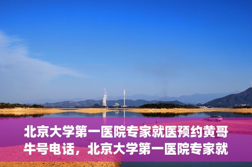 北京大学第一医院专家就医预约黄哥牛号电话，北京大学第一医院专家就医预约热线黄哥牛号电话全攻略