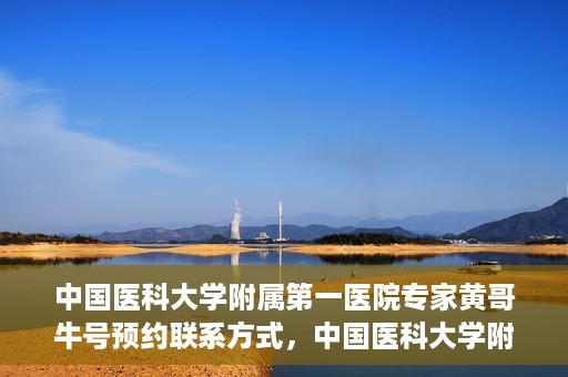中国医科大学附属第一医院专家黄哥牛号预约联系方式，中国医科大学附属第一医院黄哥牛专家号预约联系方式及指南