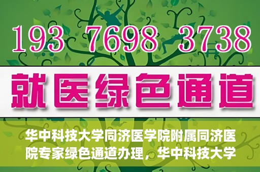 华中科技大学同济医学院附属同济医院专家绿色通道办理，华中科技大学同济医学院附属同济医院专家绿色通道办理详解