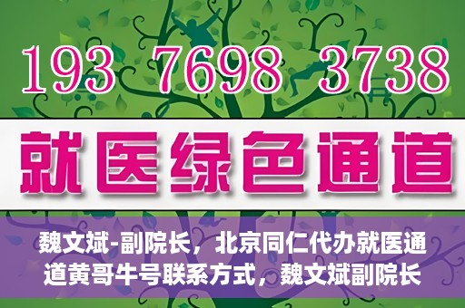 魏文斌-副院长，北京同仁代办就医通道黄哥牛号联系方式，魏文斌副院长与北京同仁就医通道，黄哥牛号联系方式揭秘