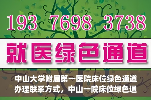 中山大学附属第一医院床位绿色通道办理联系方式，中山一院床位绿色通道办理指南，快速联系方法与流程解析