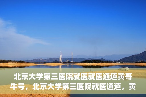 北京大学第三医院就医就医通道黄哥牛号，北京大学第三医院就医通道，黄哥牛号助您便捷就医体验
