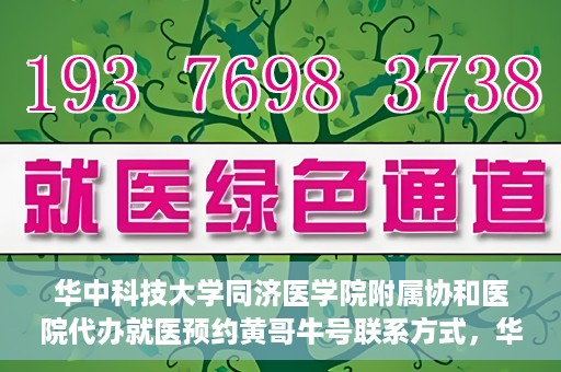 华中科技大学同济医学院附属协和医院代办就医预约黄哥牛号联系方式，华中科技大学同济医学院附属协和医院预约挂号联系方式揭秘，黄哥牛号助您轻松预约就医服务