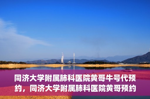 同济大学附属肺科医院黄哥牛号代预约，同济大学附属肺科医院黄哥预约代预约服务启动