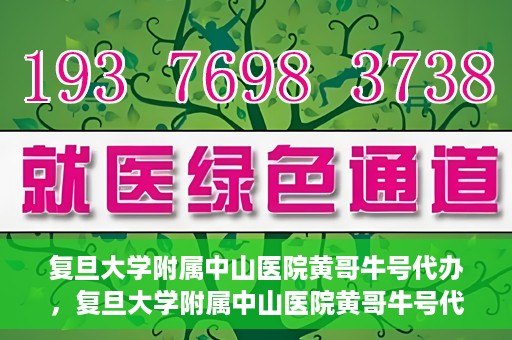 复旦大学附属中山医院黄哥牛号代办，复旦大学附属中山医院黄哥牛号代办，权威医疗资源的深度解读与便捷服务体验