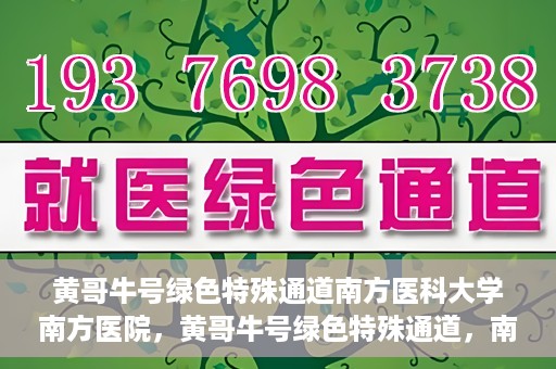 黄哥牛号绿色特殊通道南方医科大学南方医院，黄哥牛号绿色特殊通道，南方医科大学南方医院的探索与实践