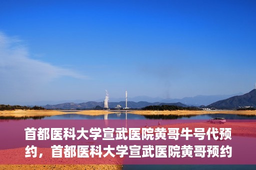 首都医科大学宣武医院黄哥牛号代预约，首都医科大学宣武医院黄哥预约代挂号服务解析