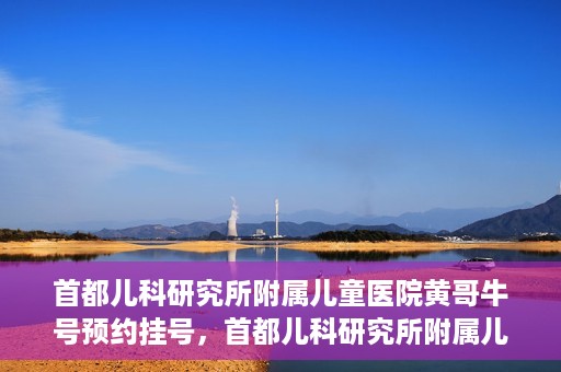 首都儿科研究所附属儿童医院黄哥牛号预约挂号，首都儿科研究所附属儿童医院黄哥牛号预约挂号攻略