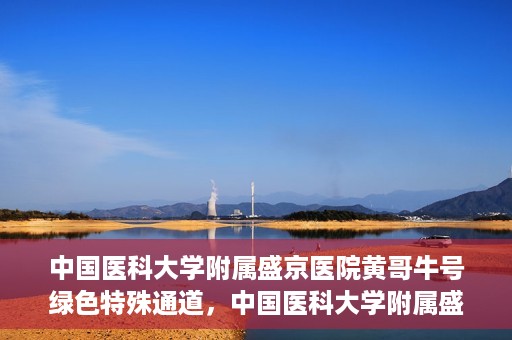 中国医科大学附属盛京医院黄哥牛号绿色特殊通道，中国医科大学附属盛京医院黄哥牛号，绿色特殊通道开启健康之门
