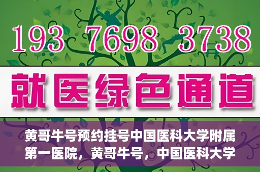 黄哥牛号预约挂号中国医科大学附属第一医院，黄哥牛号，中国医科大学附属第一医院预约挂号服务启动