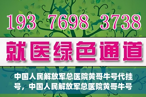 中国人民解放军总医院黄哥牛号代挂号，中国人民解放军总医院黄哥牛号代挂号解析，揭秘挂号背后的故事