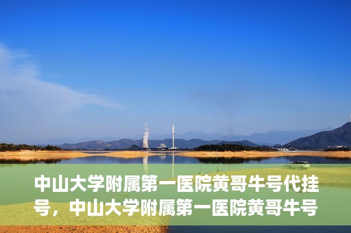 中山大学附属第一医院黄哥牛号代挂号，中山大学附属第一医院黄哥牛号助您解决挂号难题