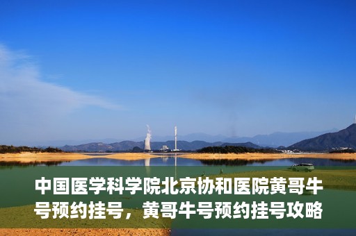 中国医学科学院北京协和医院黄哥牛号预约挂号，黄哥牛号预约挂号攻略，中国医学科学院北京协和医院就医指南