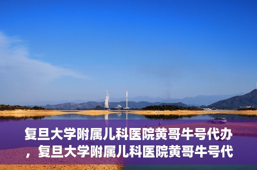 复旦大学附属儿科医院黄哥牛号代办，复旦大学附属儿科医院黄哥牛号代办，一站式服务详解